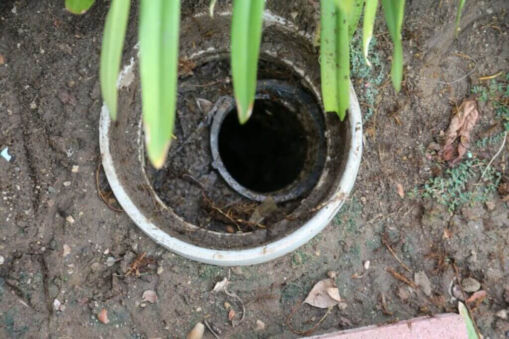 Top Signs Your Main Sewer Line Is Clogged